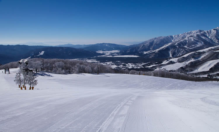 白馬岩岳スノーフィールド