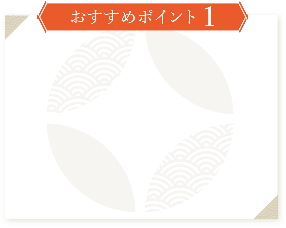 おすすめポイント1